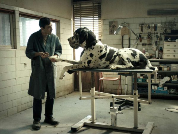 Dogman