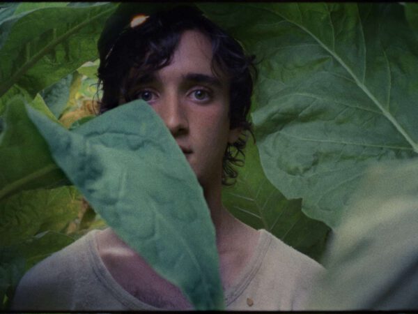 Lazzaro Felice