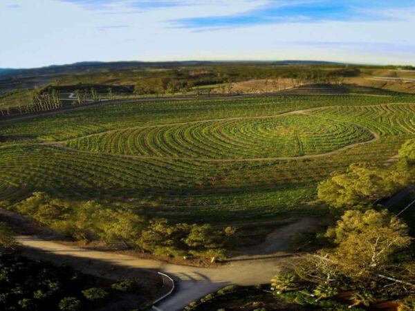 The Biggest Little Farm