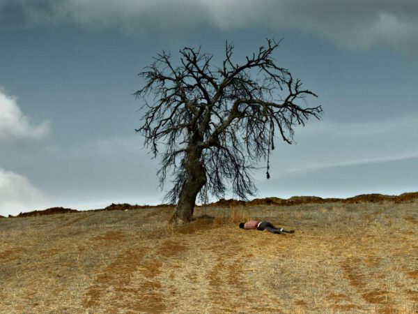 The Wild Pear Tree