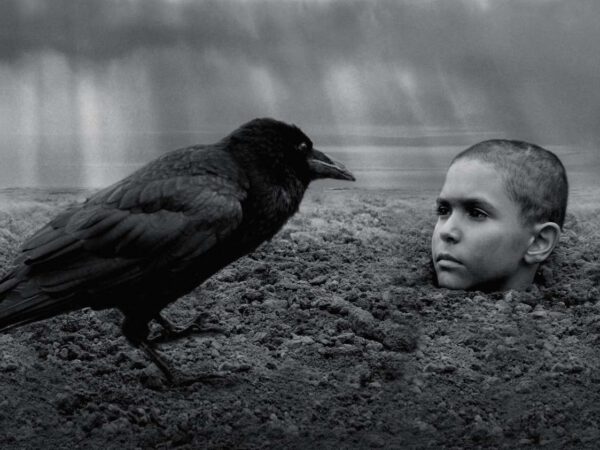 The Painted Bird