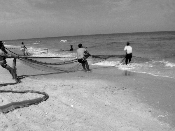 Gaza remains the story