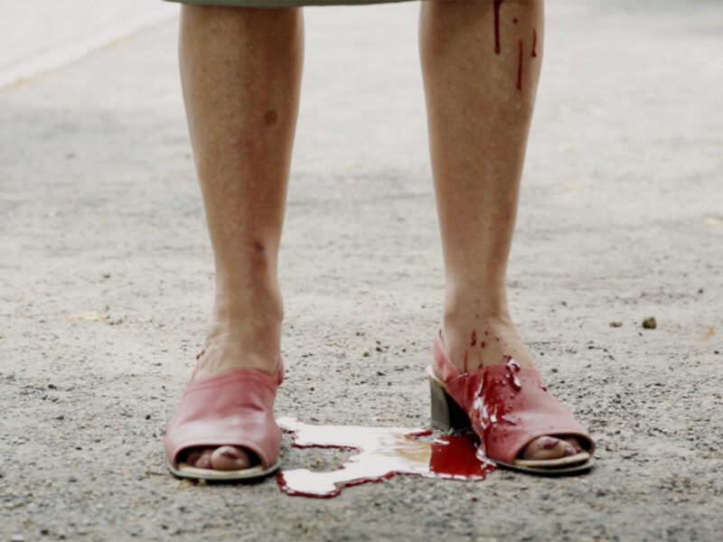 The Big Hormone Party