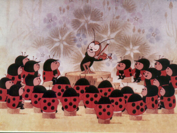 De Krekel + REKKER Films