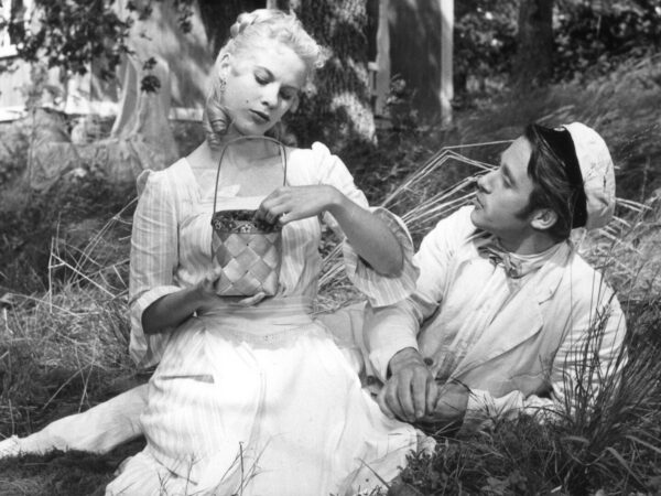 Wild strawberries (restored version)